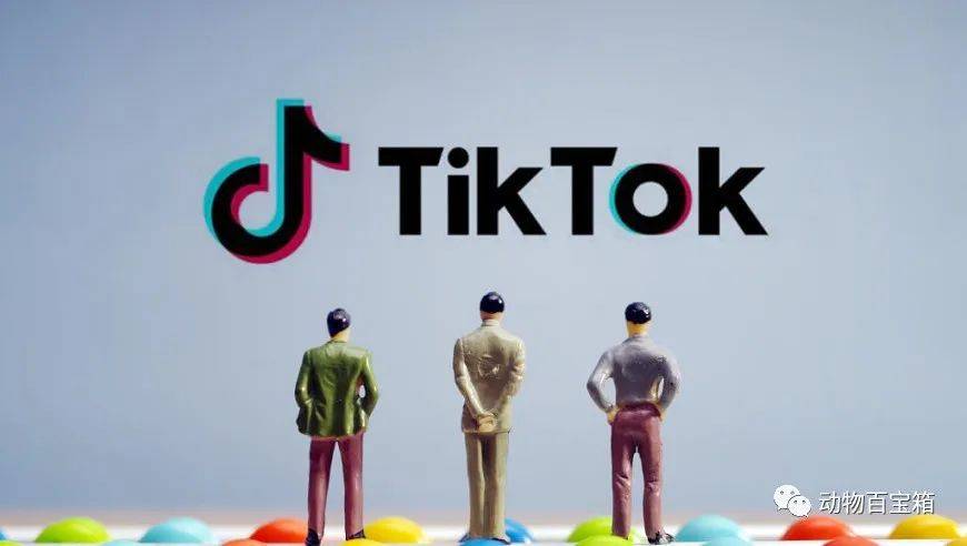 tiktok硬砸15億美元,為了能回印尼賣貨_市場_用戶_社交