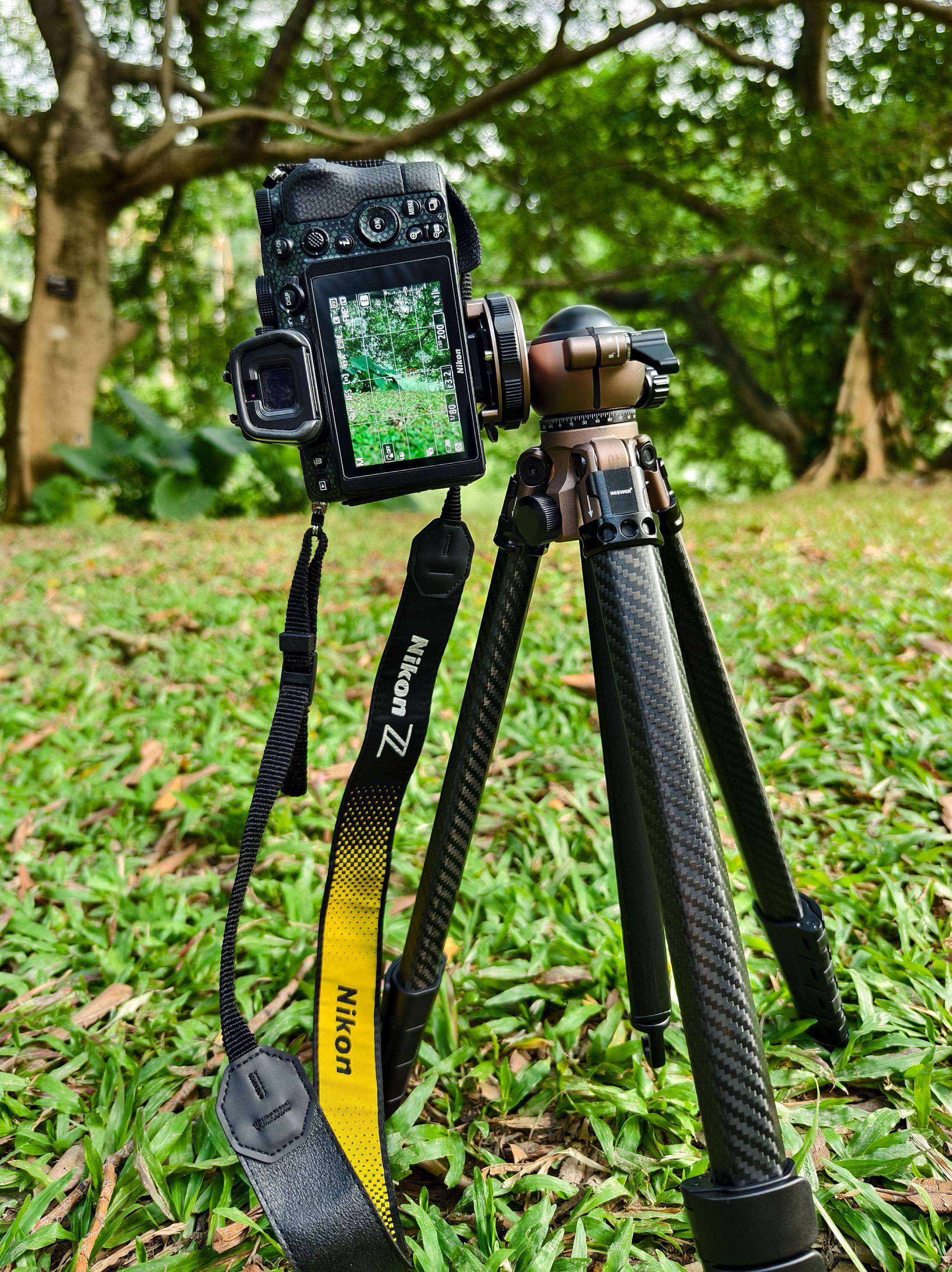 户外拍摄利器,三脚架的选购方法与入门使用技巧,一文看懂