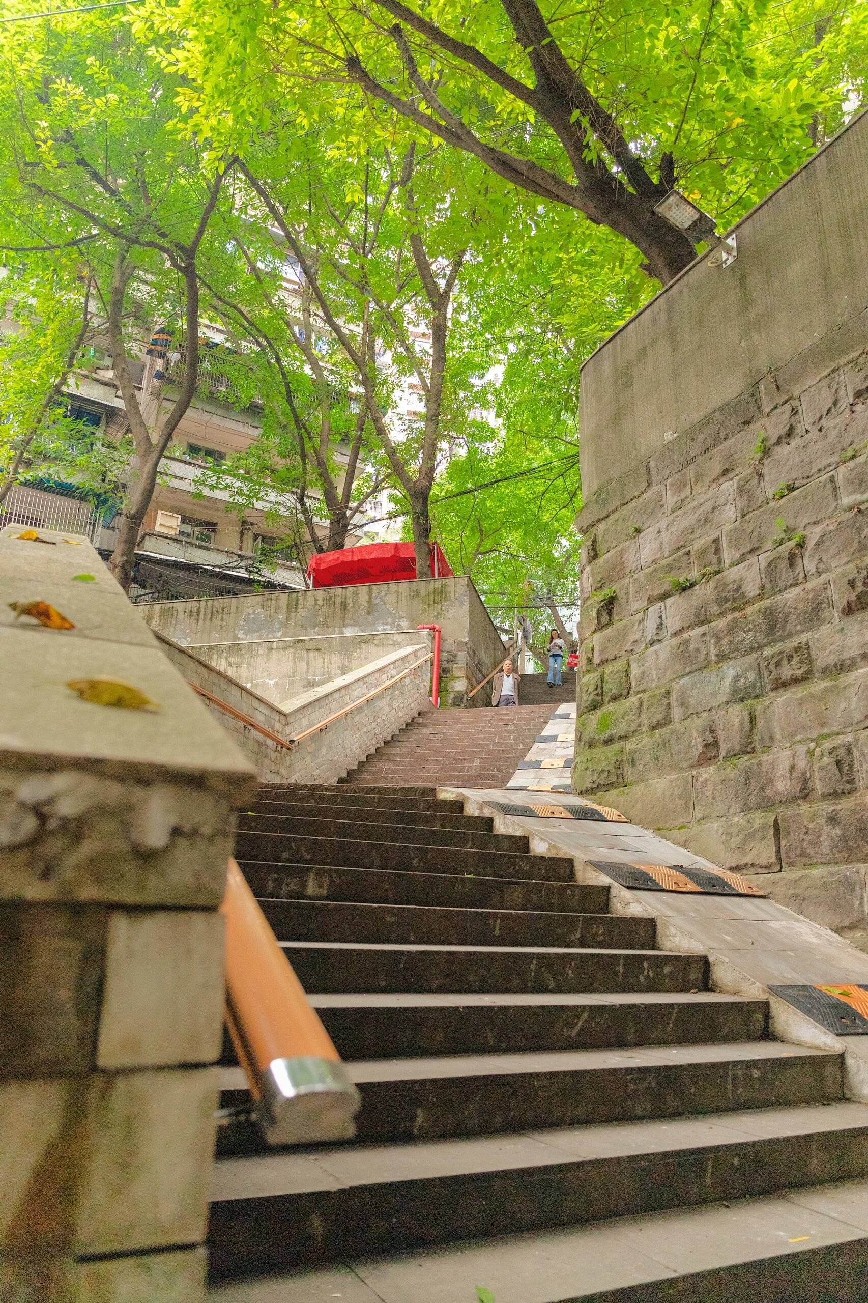重庆·风犬少年的天空取景地·大兴村_生活_避暑_绿色植物