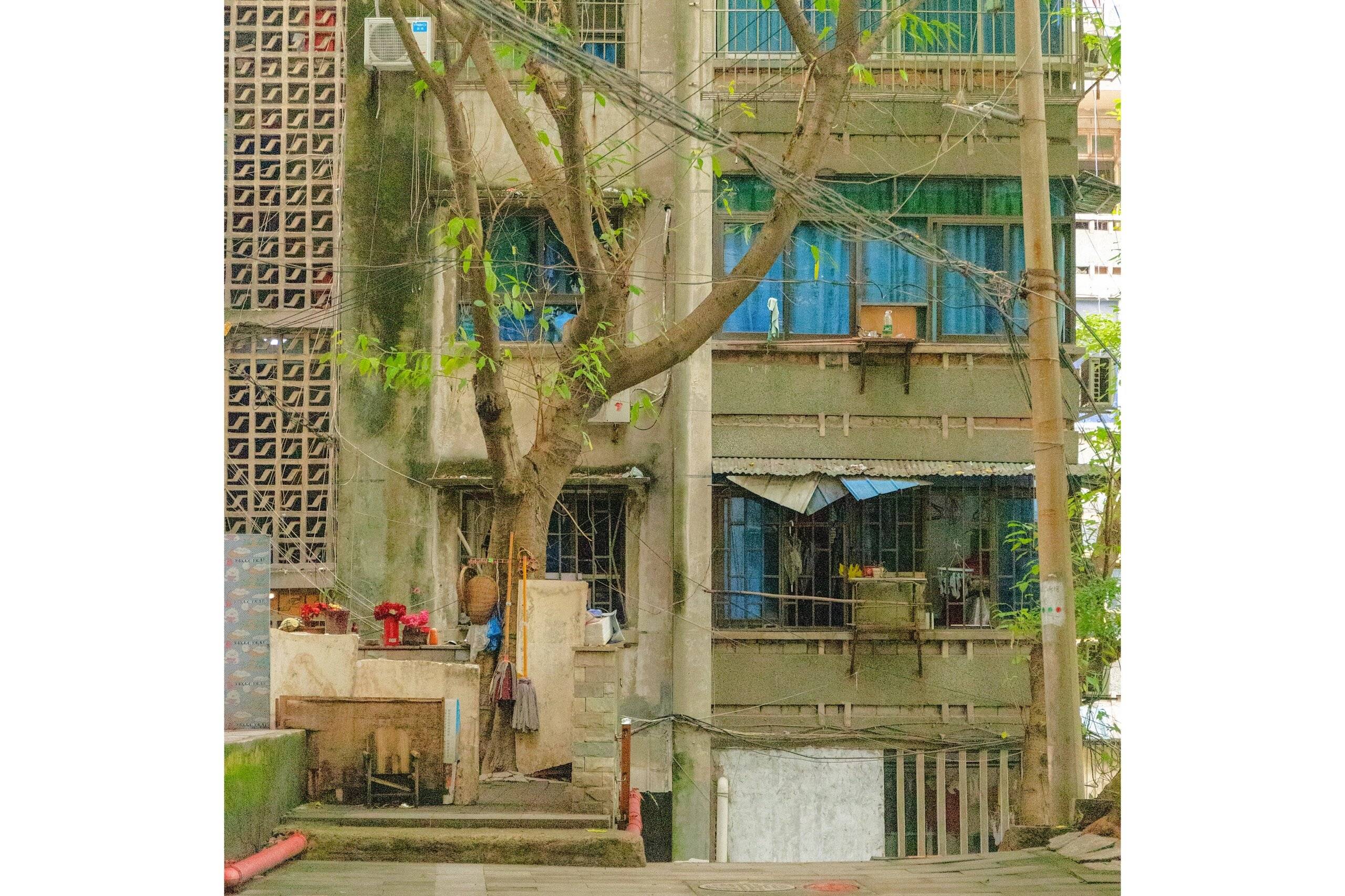 重庆·风犬少年的天空取景地·大兴村_生活_避暑_绿色植物