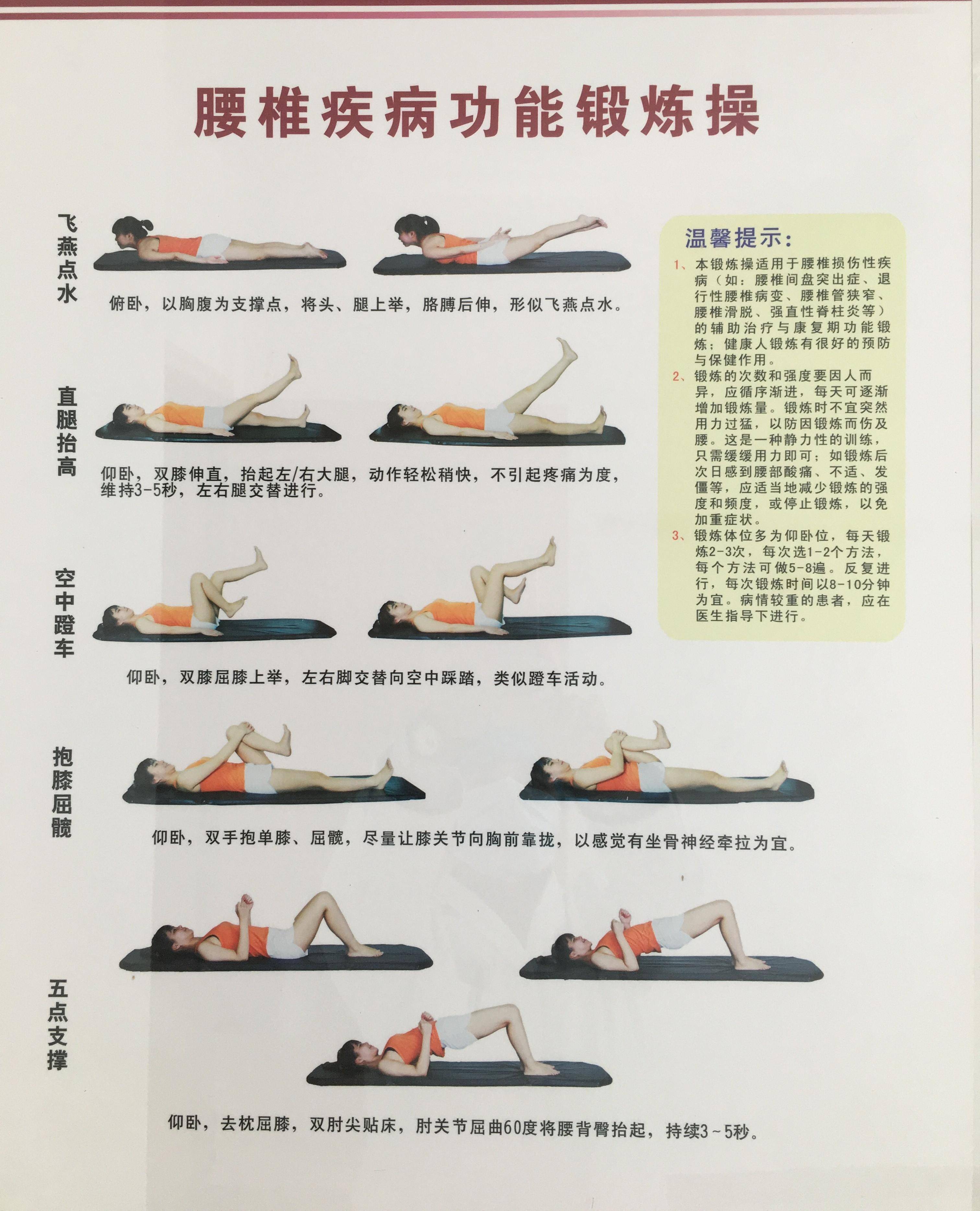 核心肌群锻炼,腰椎间盘突出康复训练不可或缺的一环