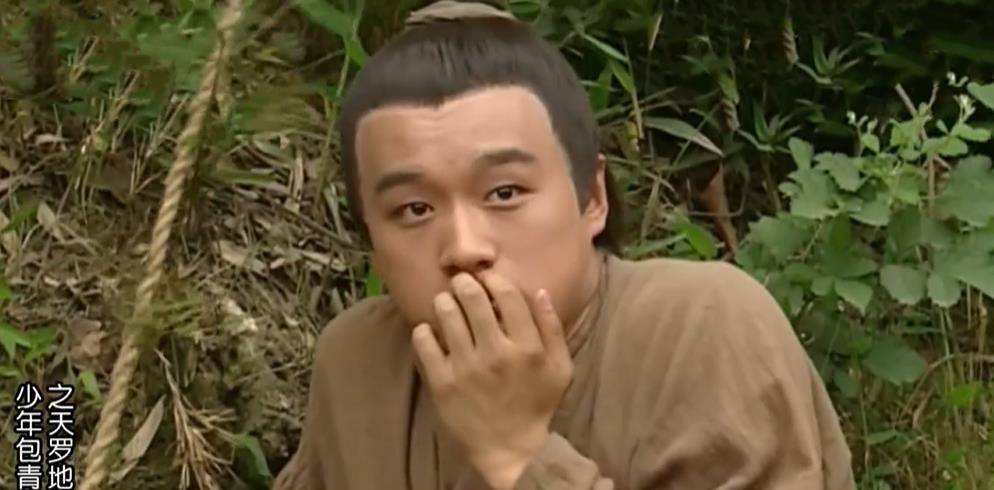 《少年包青天2:跟皇帝撞脸的放牛郎,路上多看一眼就送了命_襄阳王