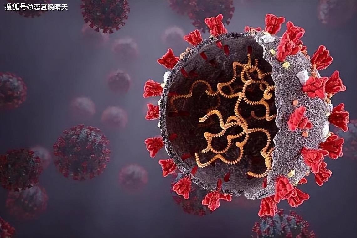 马来西亚卫生部宣布重启新冠隔离_措施_风险_病毒传播