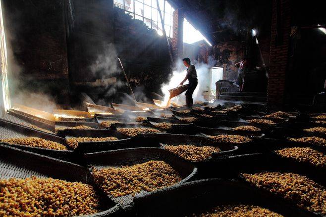 固体发酵酒醅分析_取样_酒精_密度