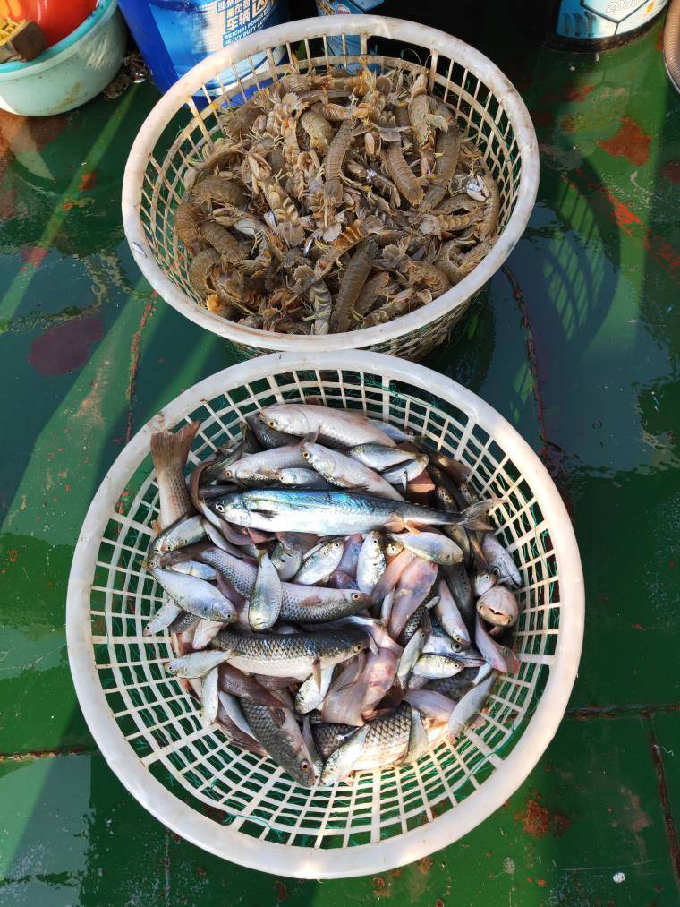 河北沧州黄骅港涛哥出海一日游,涛哥出海一日游游轮,公司团建家庭聚餐