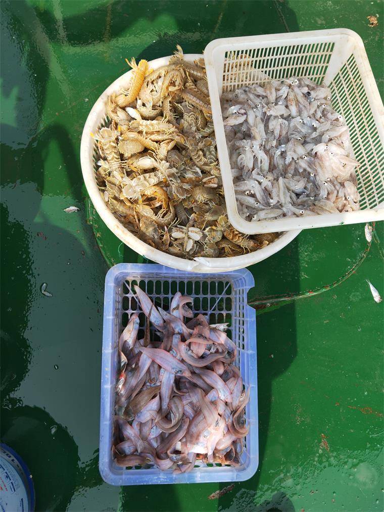 河北沧州黄骅港涛哥出海一日游,涛哥出海一日游游轮,公司团建家庭聚餐