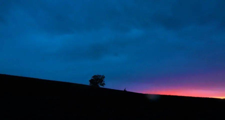 危中藏机！家电主流消费加速场景化和线上化-家电圈官网