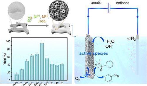 計算 實驗:nature子刊,jacs ,angew,acs catalysis