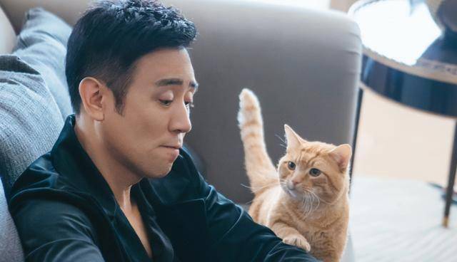 宠爱》票房破2亿,仅用了2天时间,宠物才是这部影片的亮点_钟汉良_电影