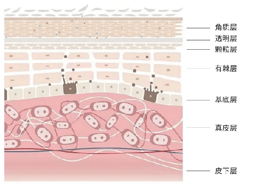 豹纹妈妈:冬天皮肤为什么会出现刺痛感?_搜狐网