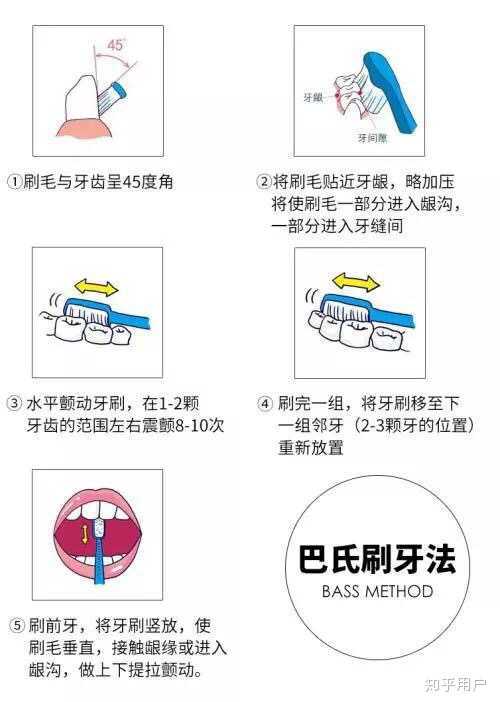 全國十大電動牙刷知名品牌:全網最火的十款機型合集