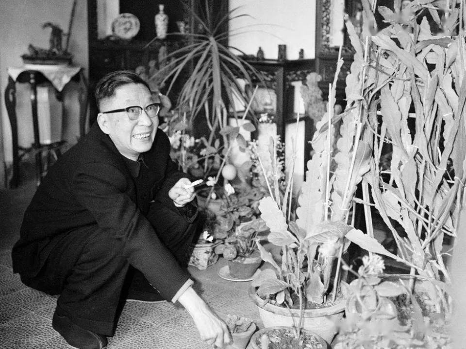 老舍《骆驼祥子》的北平“文学地图”-骆驼祥子北平城环境描写