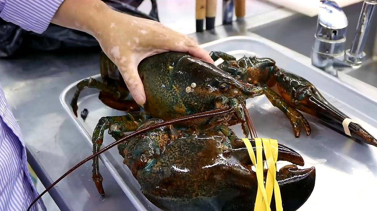 海胆在澳洲泛滥，为什么当地宁愿雇人敲碎，也不吃它？(图6)