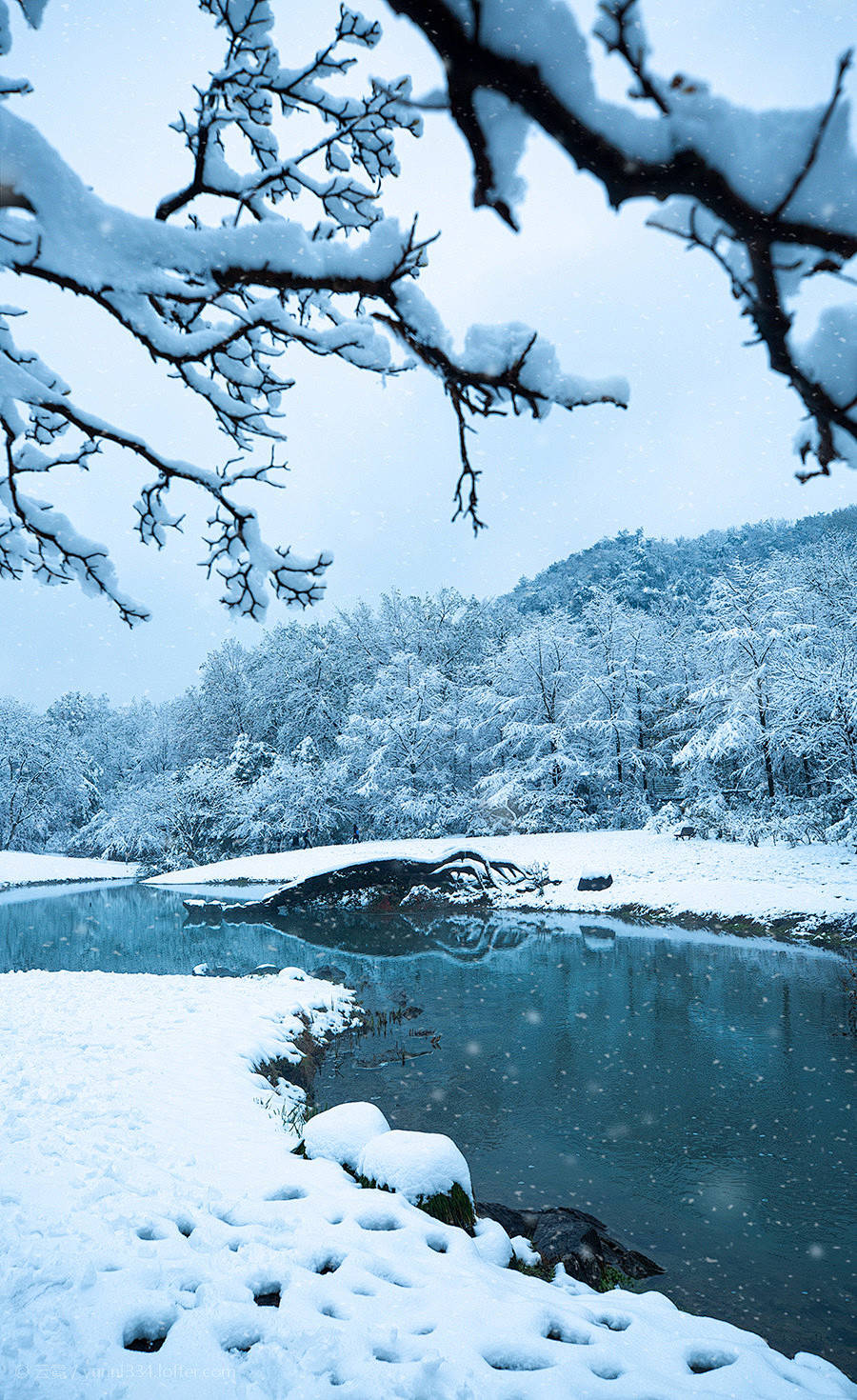 八十句诗带你体会_白居易_风雪_雪花