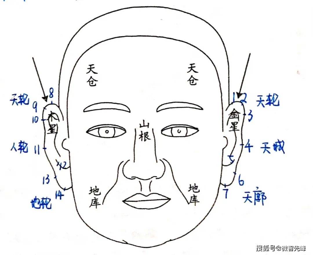 面相九陽混流法_大運_華陽_日月