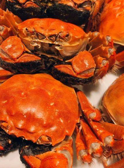 女山湖大闸蟹:安徽明光的珍馐美味_文化_美食_故事