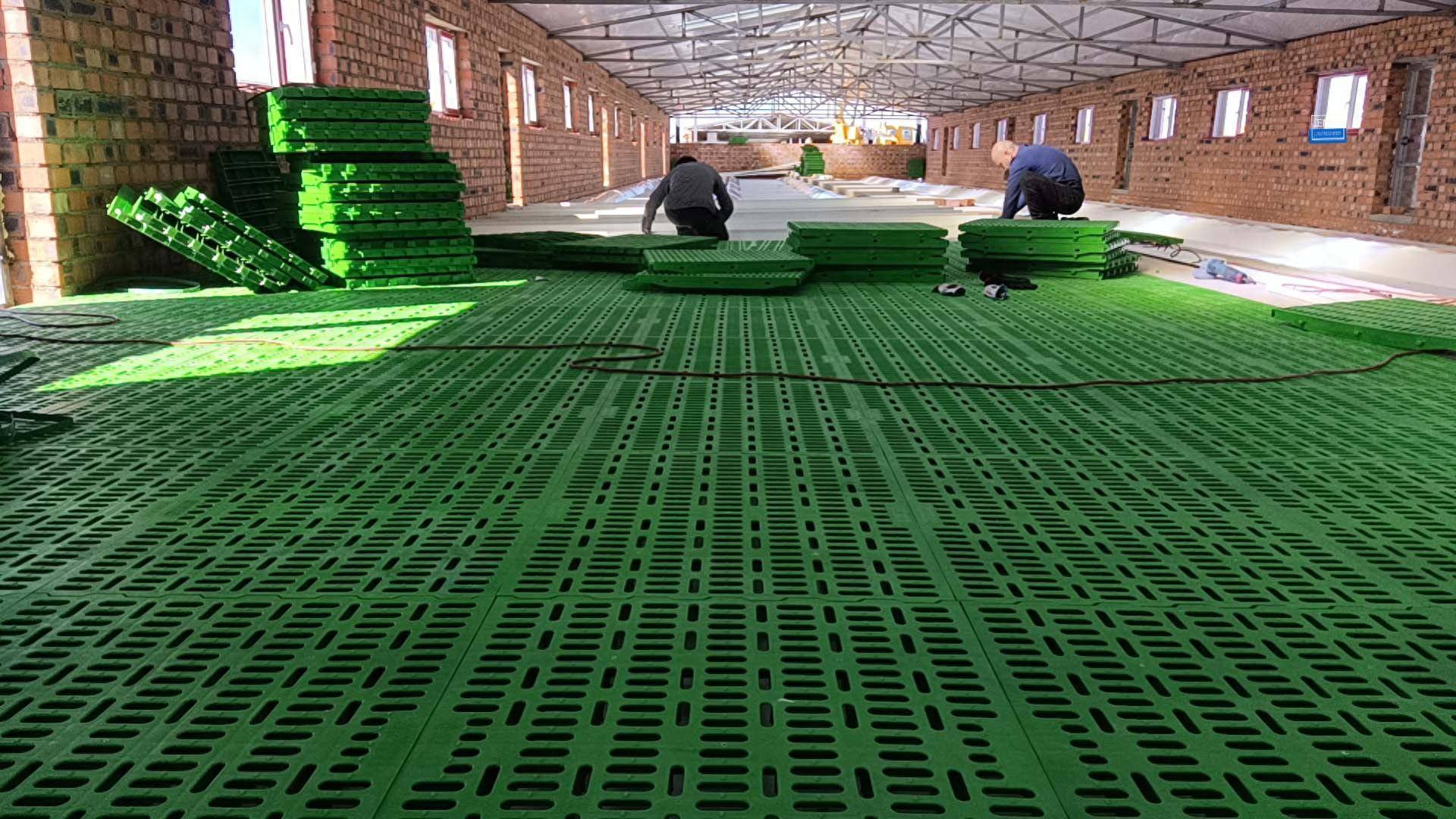 塑料漏粪板最全介绍,养羊的不要错过_设计_羊群_材料