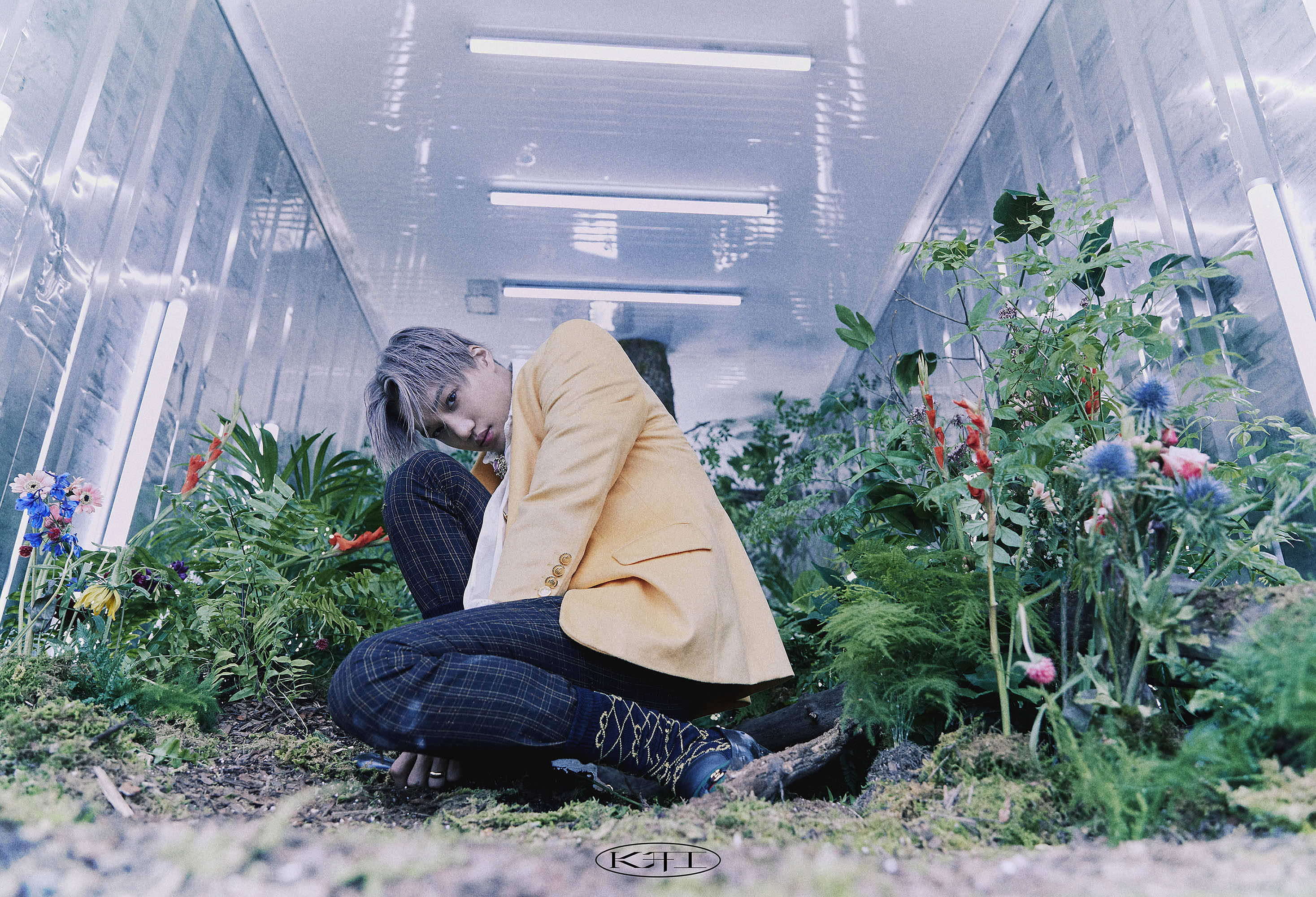 世界级表演者exo成员kai本周出击音乐节目