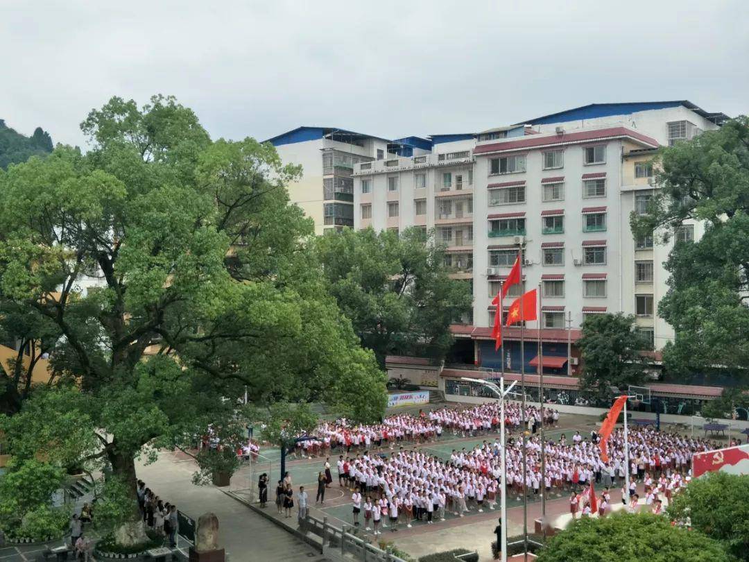 刚公布!全州文源小学,绍水初中太厉害了,被评为桂林文明校园