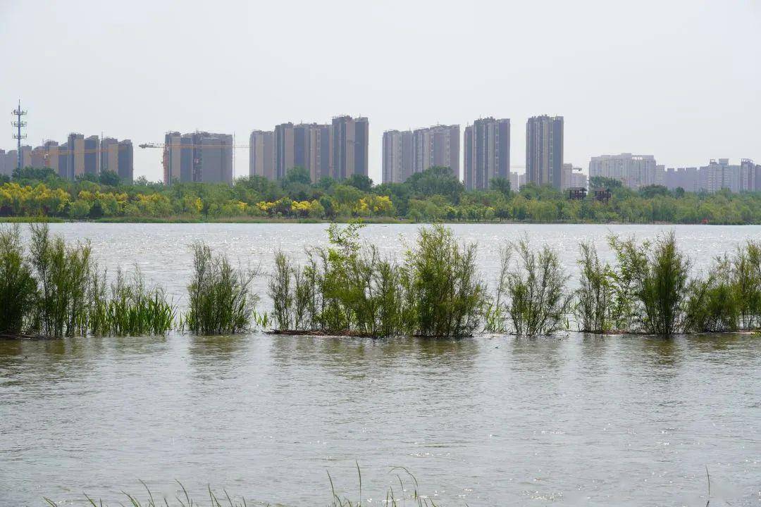 永定河北京段全線通水視頻直擊第二次脈衝現場