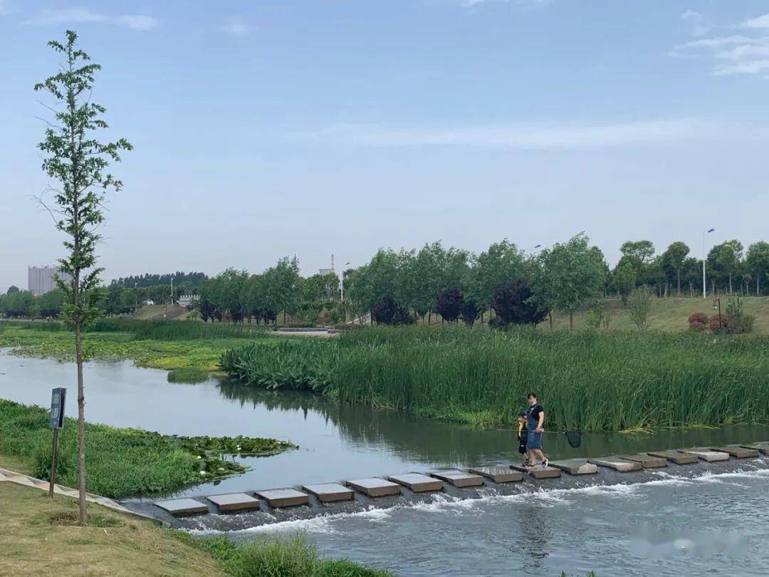 疫散花開大美鷹城湛河生態文化公園藏在路邊的風景