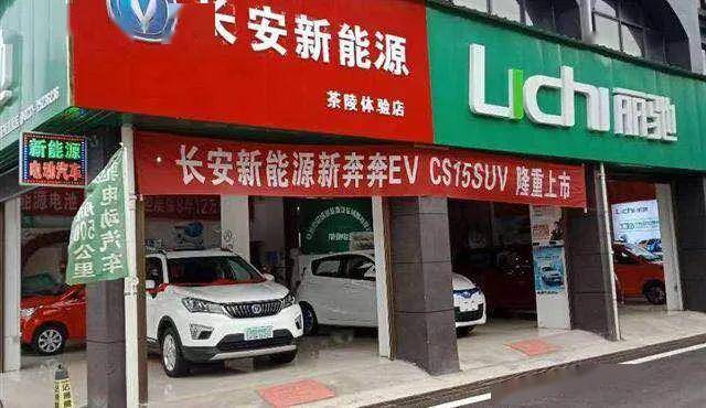 金牌商家茶陵县财缘新能源电动汽车销售有限公司
