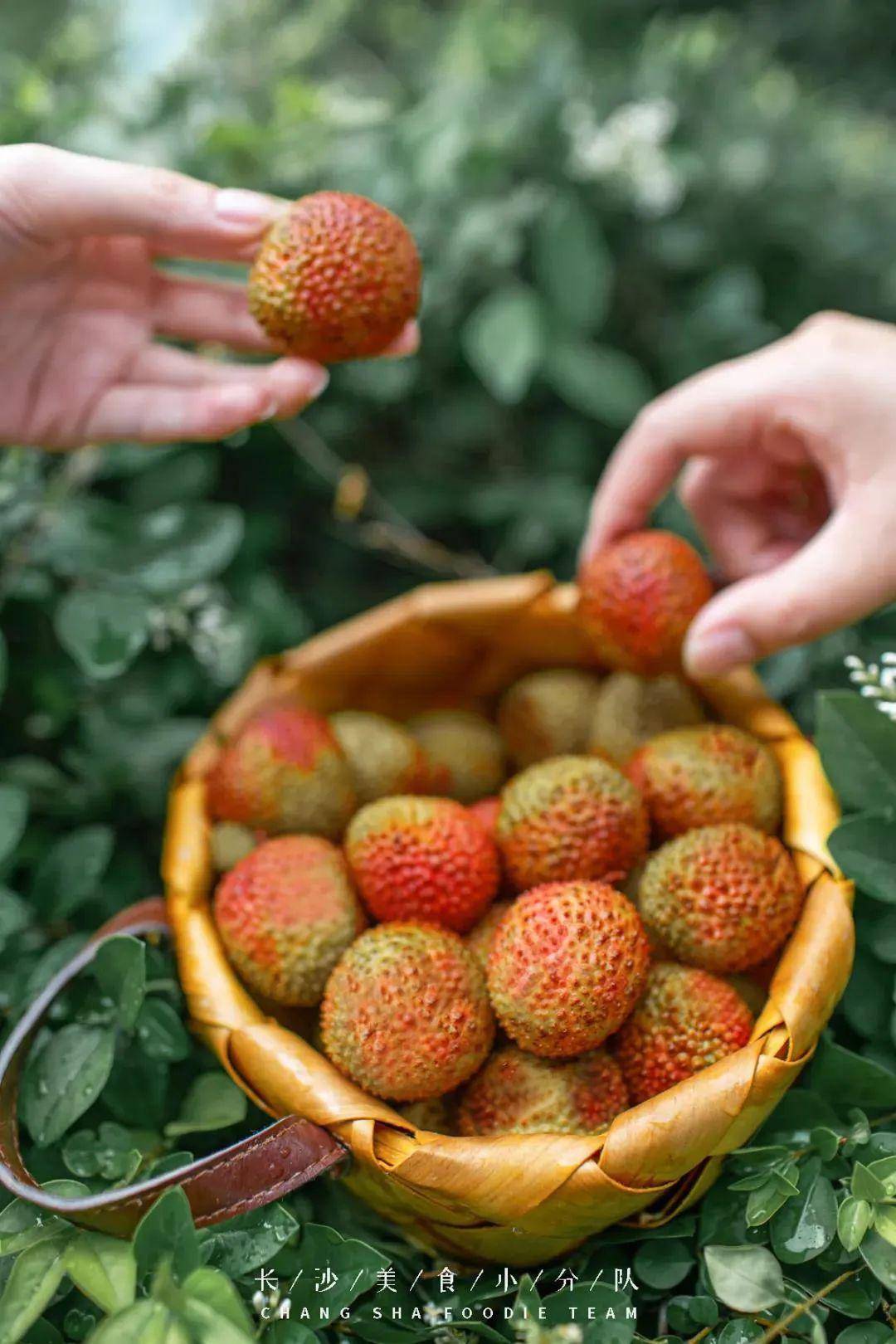 久等一年奈雪霸气荔枝双骄回归当季荔枝限时尝鲜