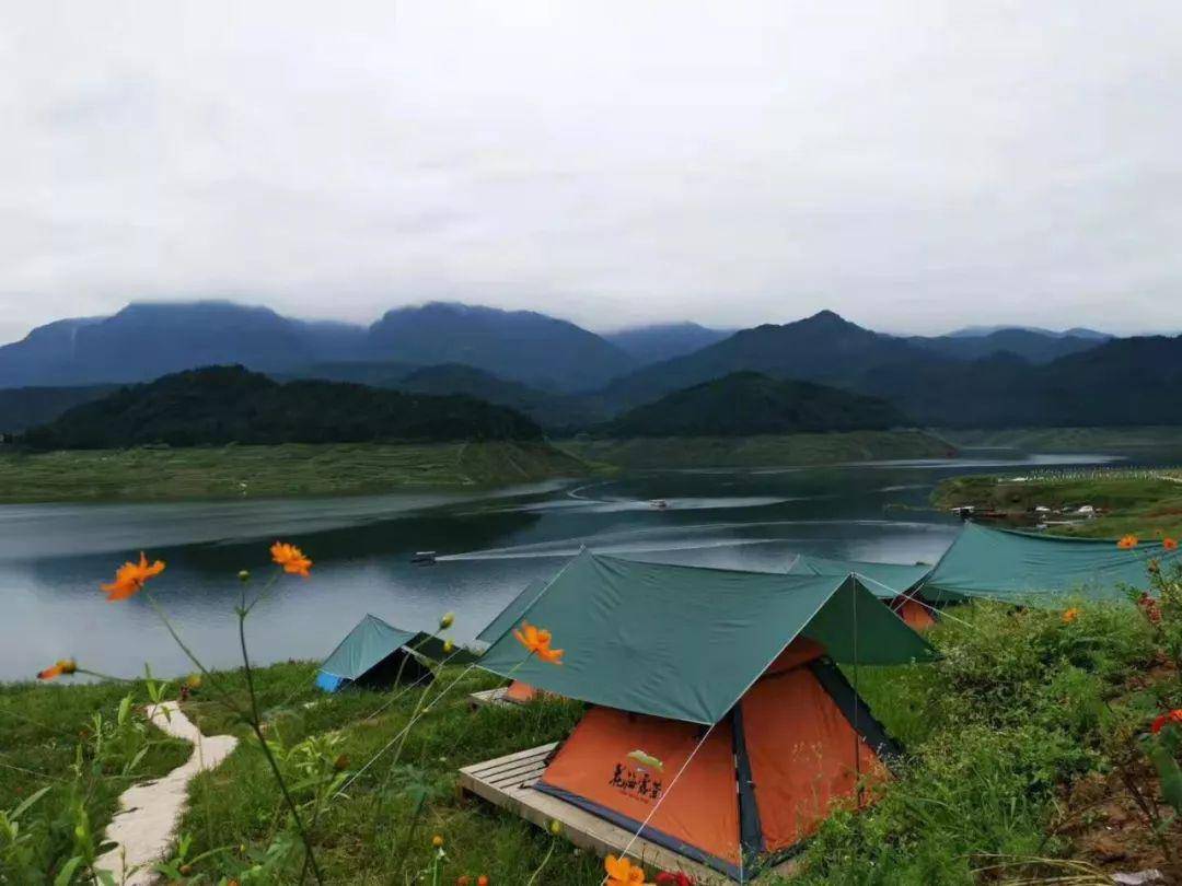 雅女湖花海露營野趴等你來!