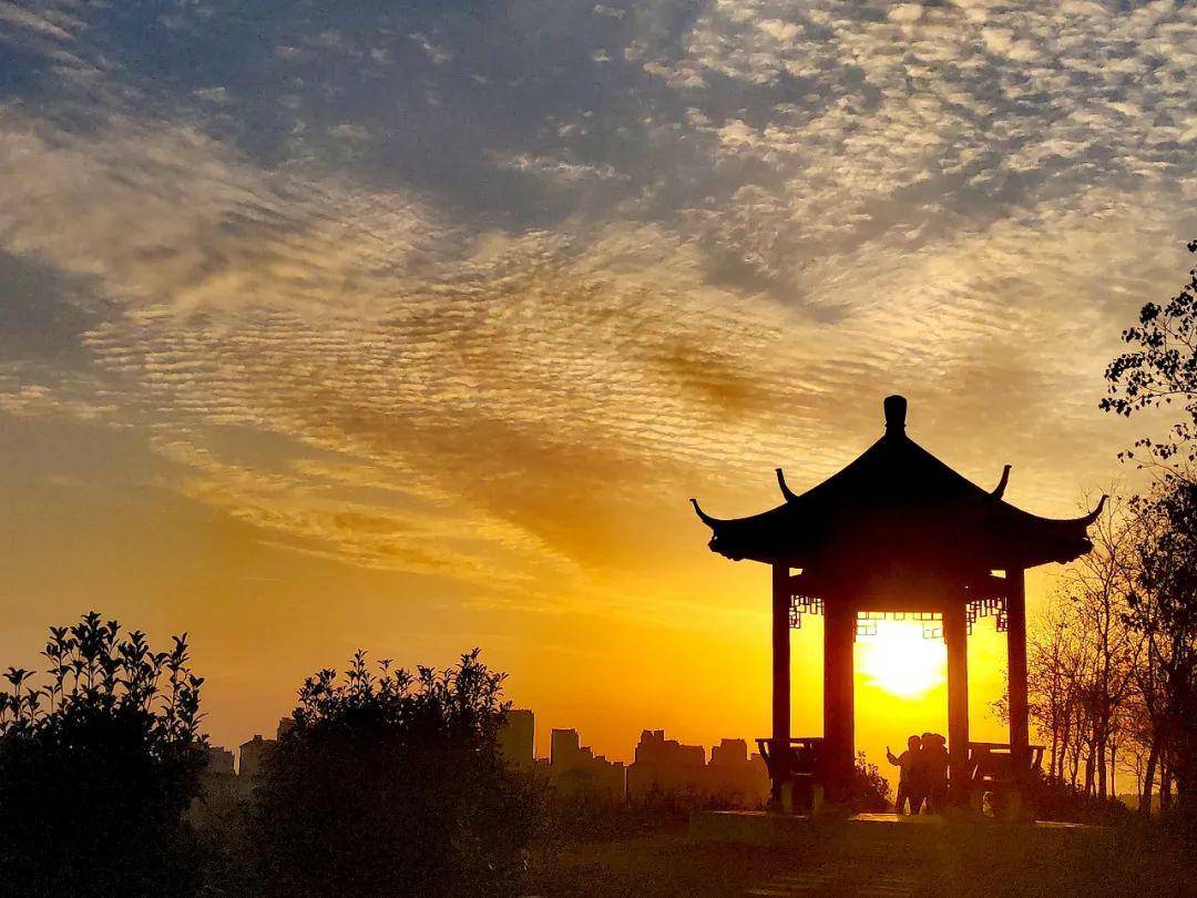 淮南很靓 | 第140波镜看淮南,最美风景随手拍摄影作品展