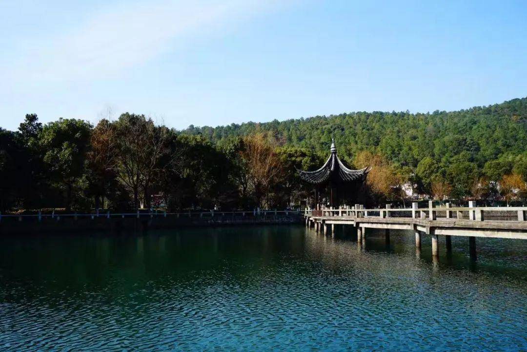 门市价:20元 苏州市吴中区越溪街道旺山村钱家坞