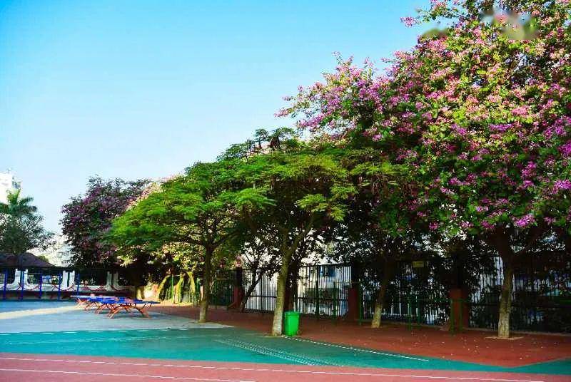 金鸡亭中学被厦门一中"主动追求"合作!教学等迎来改变!