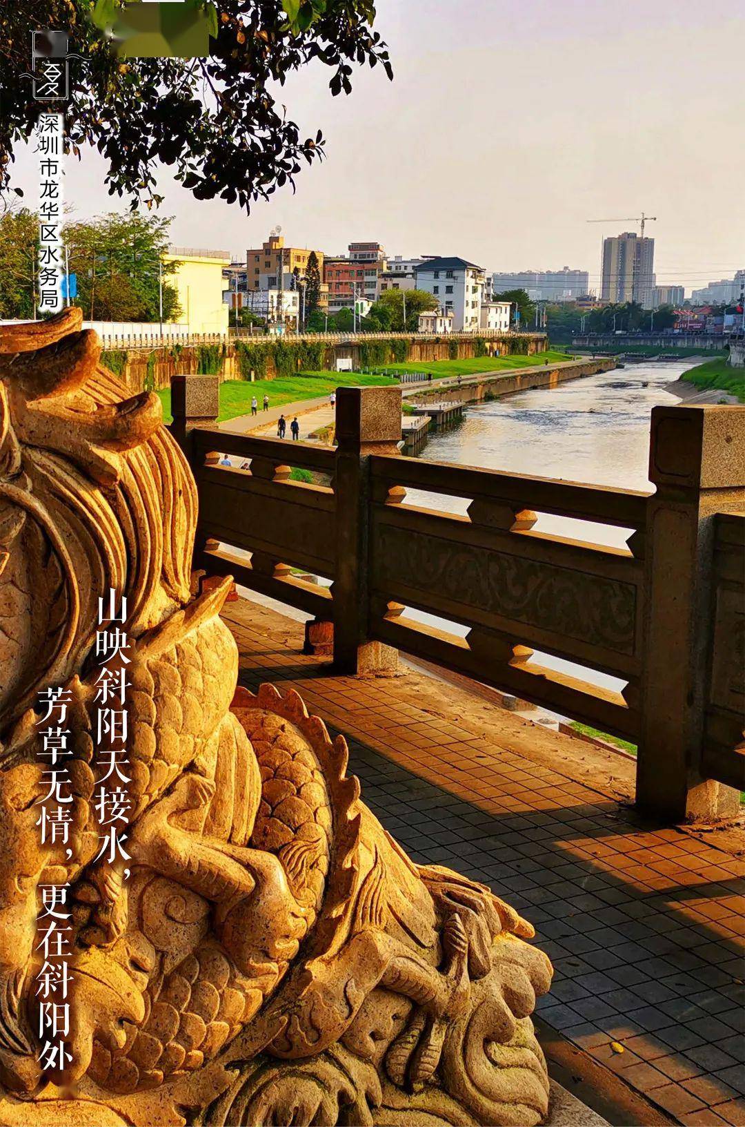 来临是生机勃勃的夏日啊碧绿的小草正茂盛清澈的河水闪着光