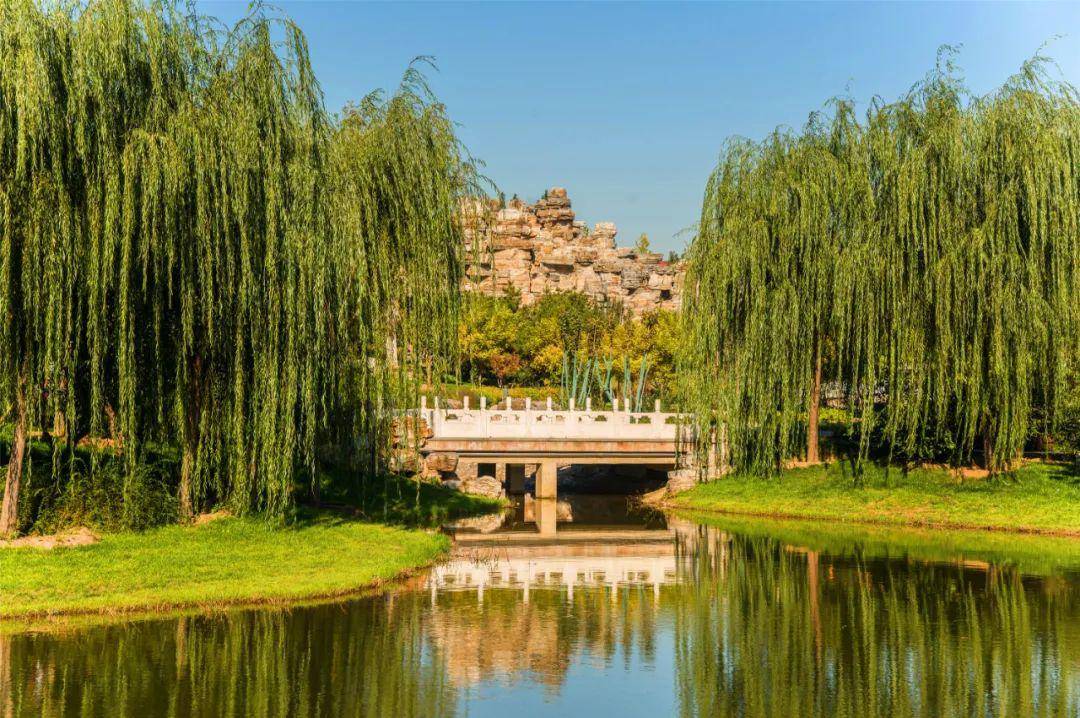 一城運河水韻千園畫中風情探營初夏裡的通州公園