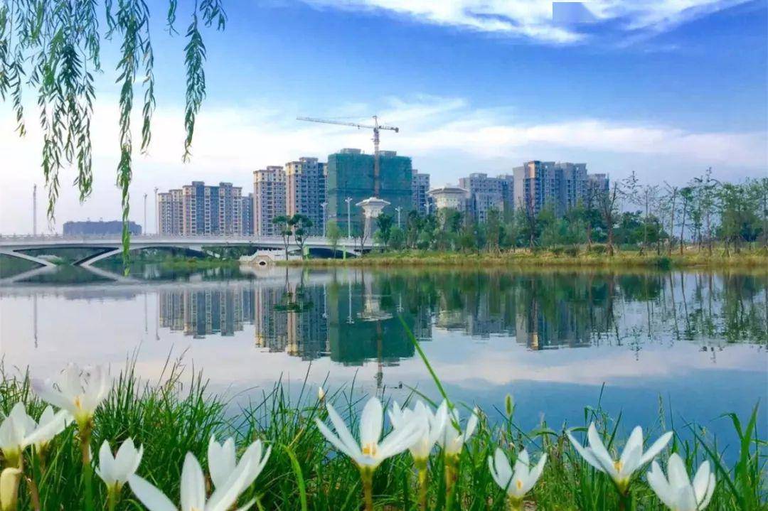 吹响发展集结号!无为市解放思想大讨论,全面释放发展潜能