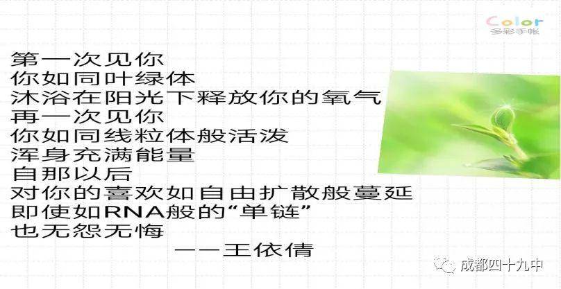 今天520生物情书超有趣