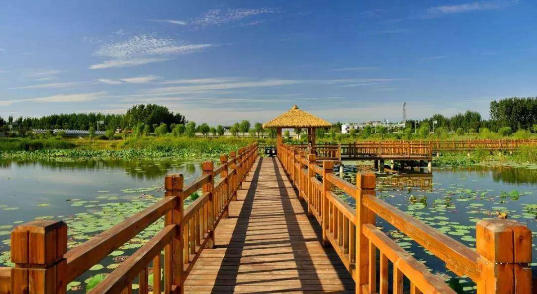 【聊城高新区顾官屯镇】带您一览——位山湿地公园