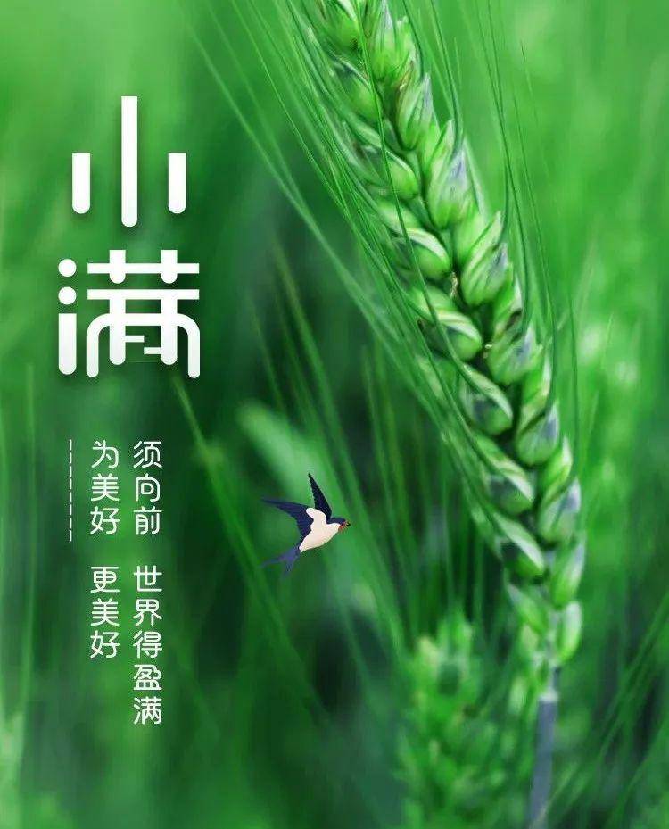 今日小满丨有诗有雨幸福满满