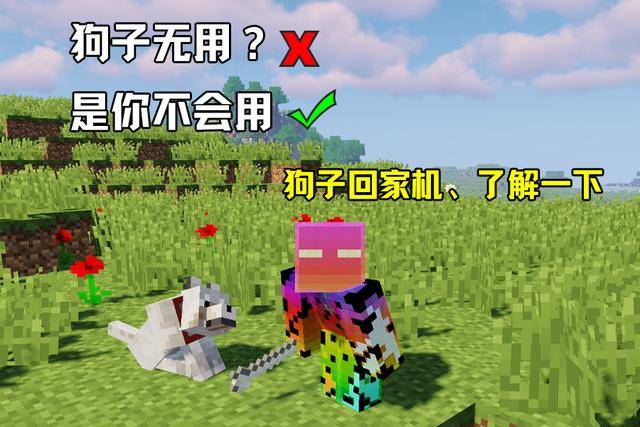 我的世界:狗子无用?错,是你不会用!试试大神开发的狗子回家机