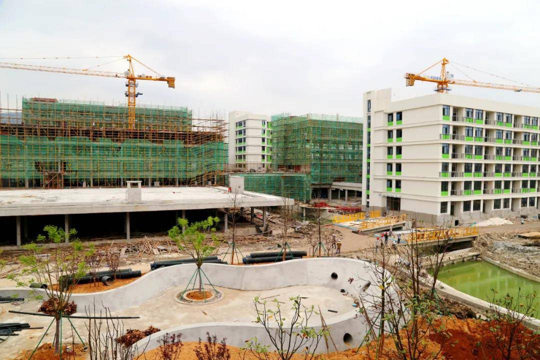 八大区块"百日攻坚" | 北大附中台州飞龙湖学校:建设进程全纪录