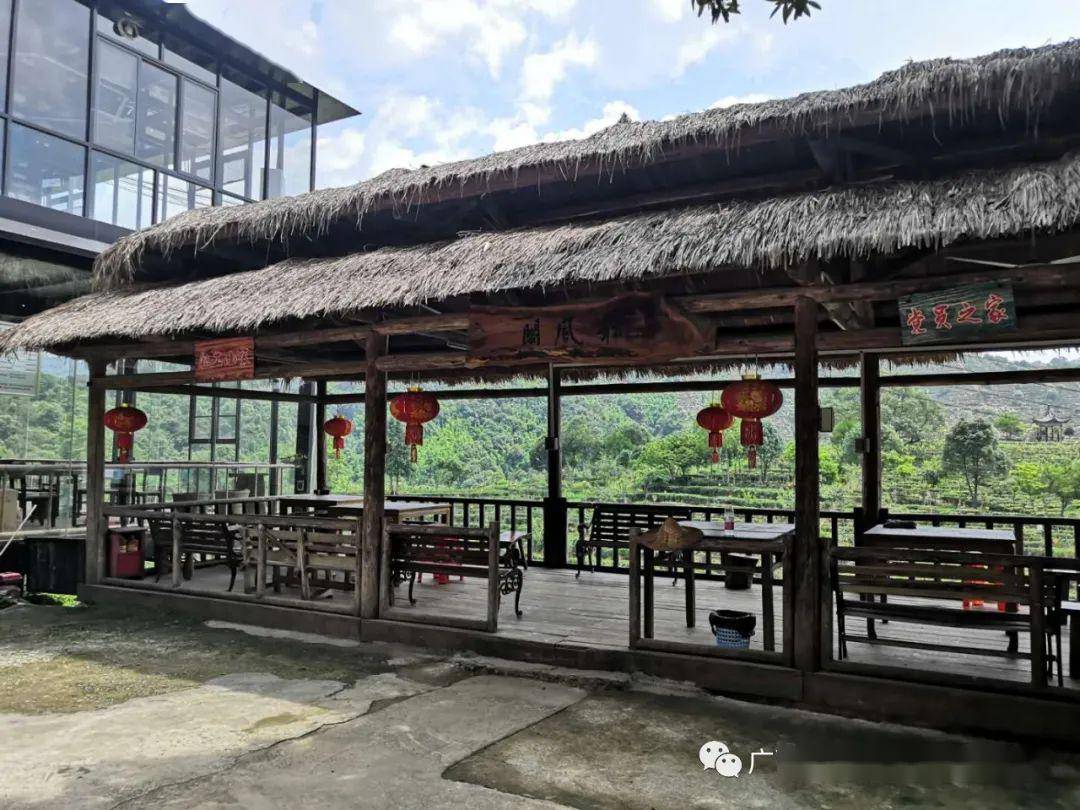 醉美梧州-六堡镇一日游!网红玻璃屋!