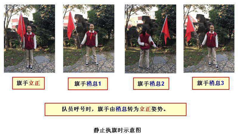 【你好,少先队】少先队的标志——规范与使用_队旗