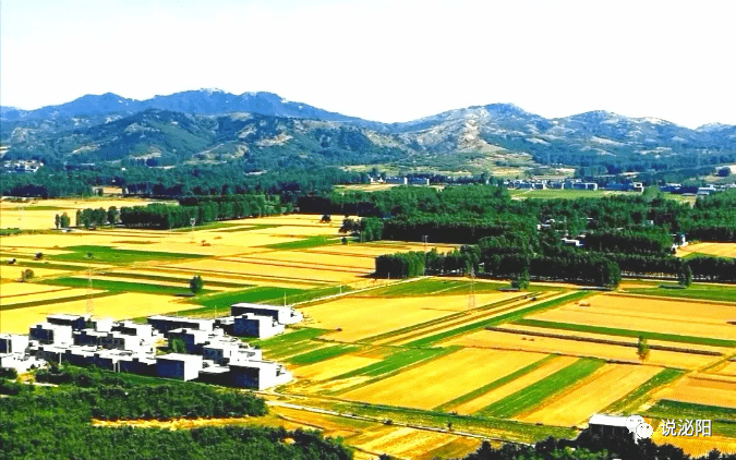 在郭集镇刘庵村委有一位泌阳县年龄最大的老寿星