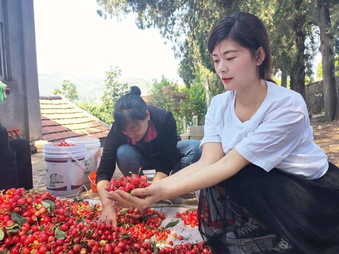 夏蔚樱桃节这个樱桃节可不一般