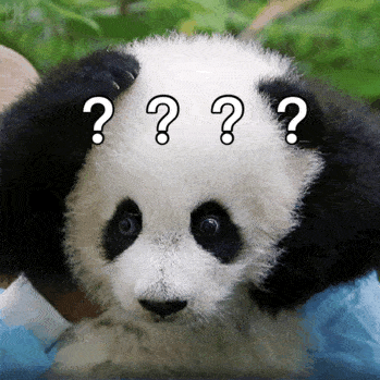 想和熊猫结婚日本大叔吼出了全世界的心声