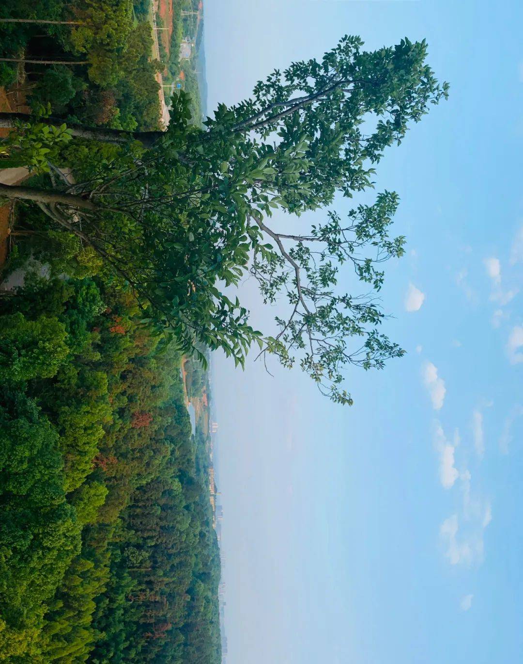 衡阳茶山坳景点图片
