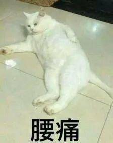 20多岁的人70多岁的腰这届年轻人的腰真的不行