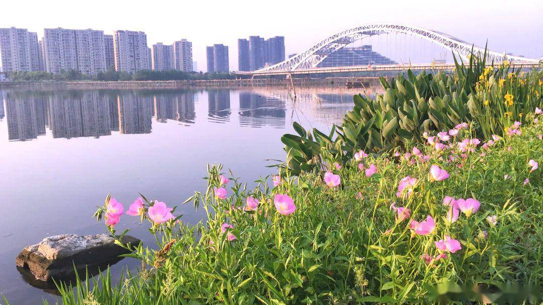 江边绿道隐藏在湾头的花海绿道