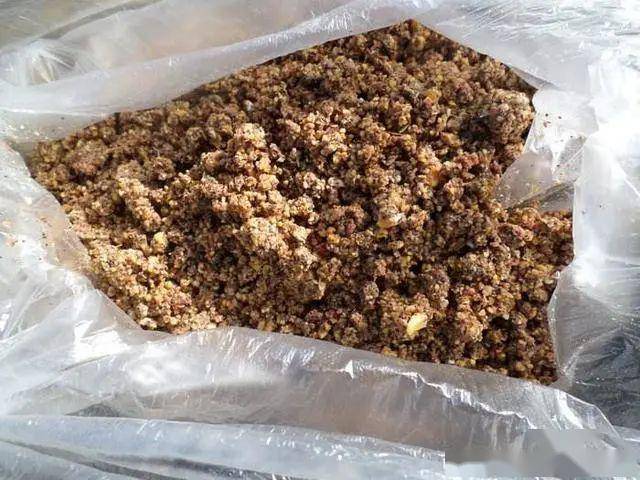 几点小技巧能够在鲤鱼甩籽期间为钓友们的垂钓提供一个良好的参考作用