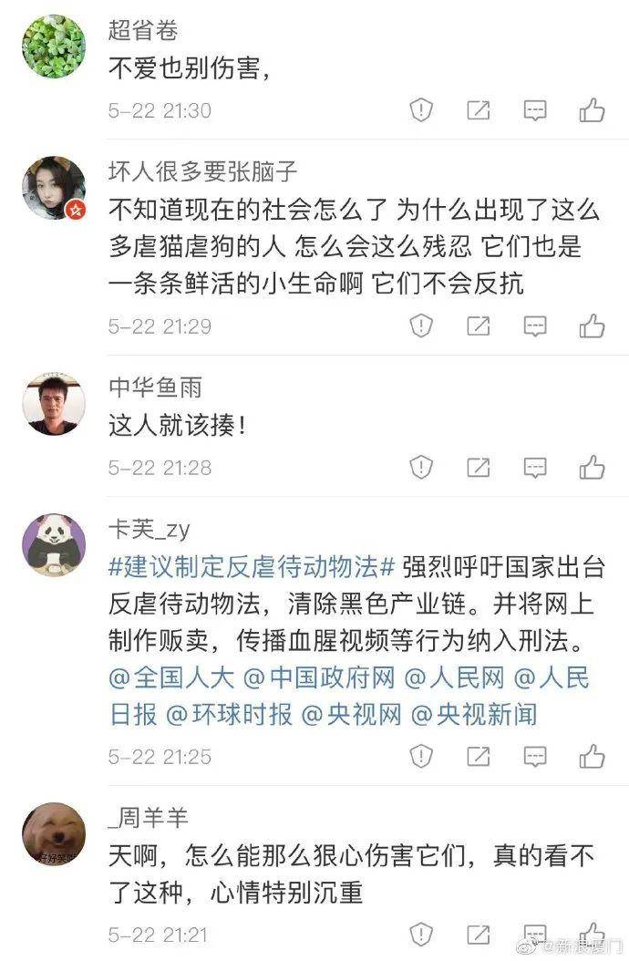 残忍厦门11只奶狗被虐眼睛涂满502胶或失明网友看哭