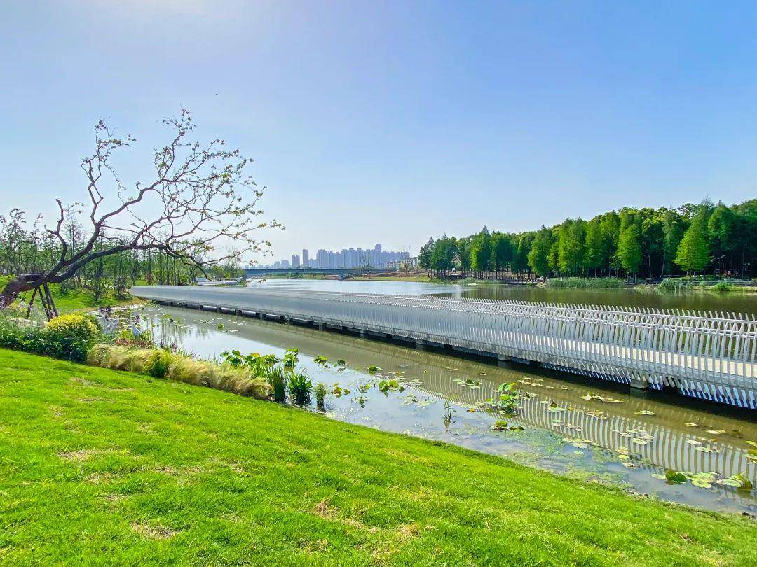滨河生态运动公园图片